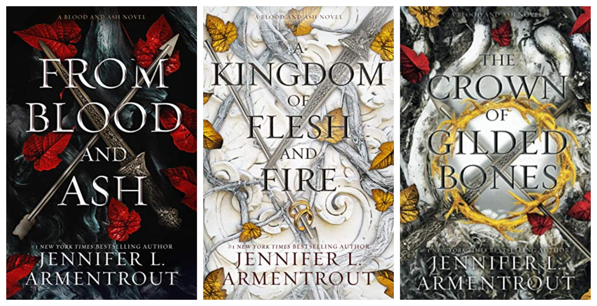 a kingdom of flesh and fire blood and ash 2