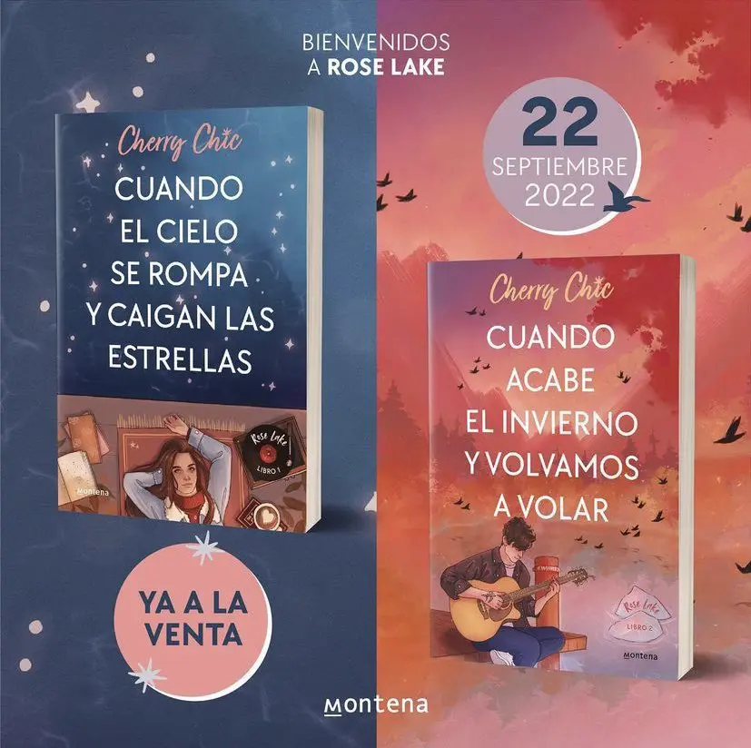 Cuando El Cielo Se Rompa Y Caigan Las Estrellas / When The Sky Breaks And  The St Ars Fall - (rose Lake) By Cherry Chic (paperback) : Target