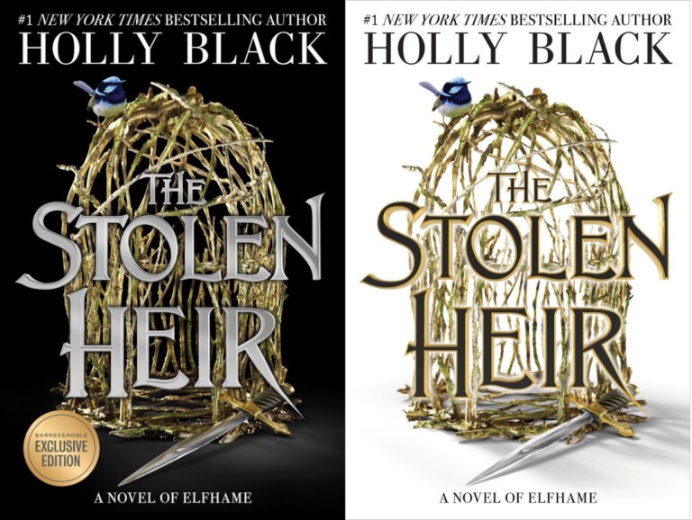 the stolen heir a novel of elfhame holly black